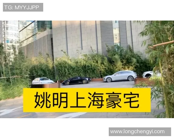 姚明在江苏的豪宅揭秘奢华生活背后的故事与设计理念